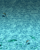 Cannonball Confederation Championships 160 Java game artwork