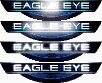 Eagle Eye Java game artwork