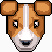 Petz Java game artwork